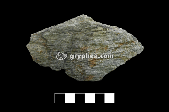 Schiste à chlorite - échantillon - gryphea.com